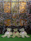Teddy_Bear_Museum_Teddy_Island_Pattaya_พิพิธภัณฑ์ตุ๊กตาหมีเทดดี้_พัทยา_129
